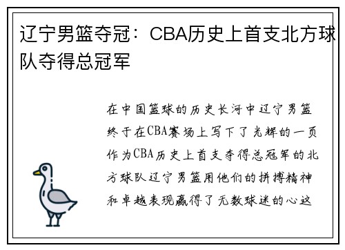 辽宁男篮夺冠：CBA历史上首支北方球队夺得总冠军