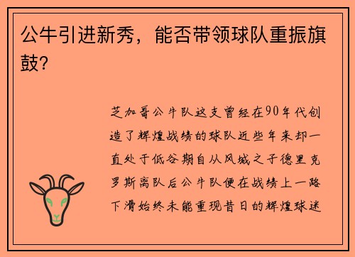 公牛引进新秀，能否带领球队重振旗鼓？