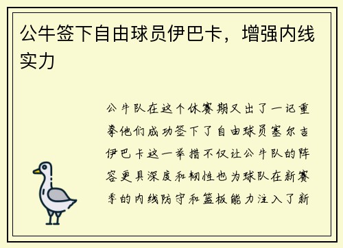 公牛签下自由球员伊巴卡，增强内线实力