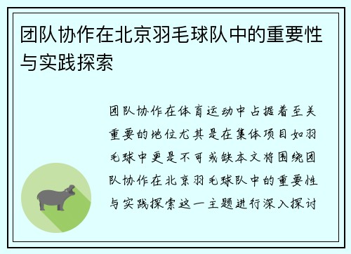 团队协作在北京羽毛球队中的重要性与实践探索
